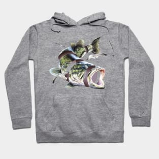 Flying Fish Hoodie